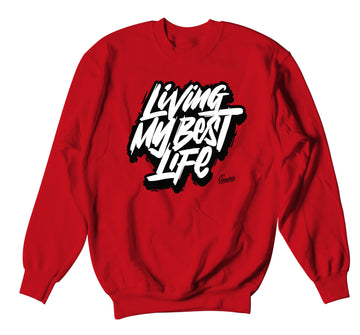 Jordan retro 9 gym red sneaker has matching crewneck sweater collection