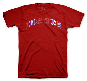 men tees designed to match the sb dunk plum sneaker collection