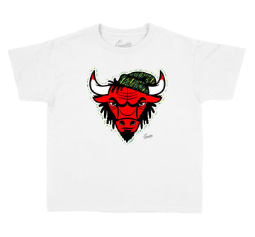 T shirt collection matches the Jordan 4 sneaker collection