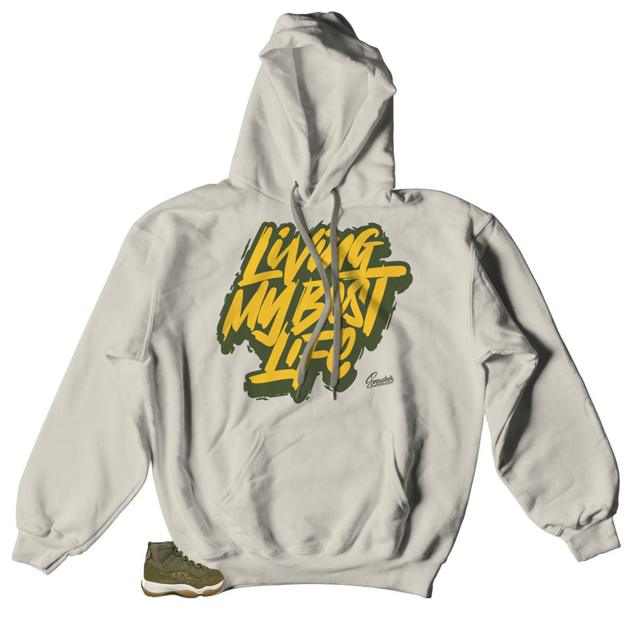 Cool Living My best clothing | Jordan 11 Olivr Lux hoodies