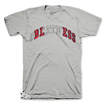 Shirt made to match the sneaker edition of Jordan 6 Flint concord