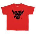 Kids Best shirts t match Jordan 12 Dark Grey