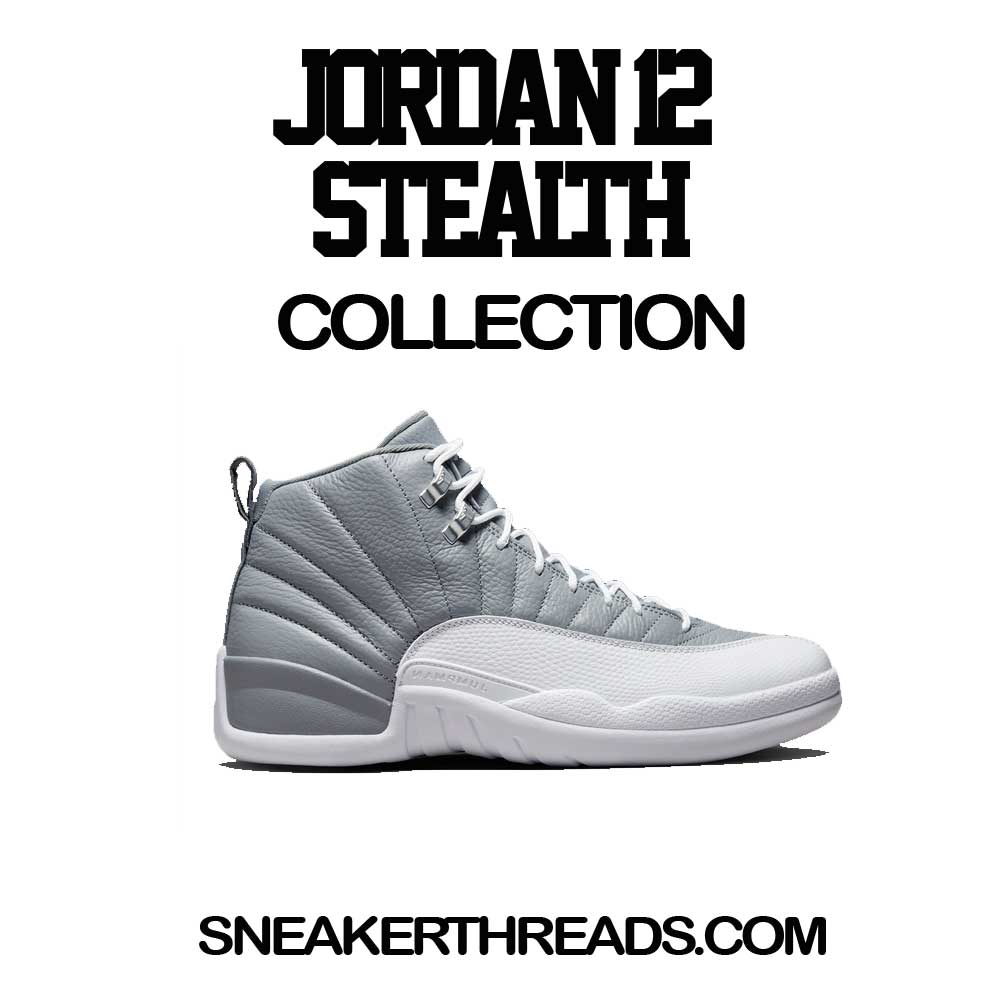 Jordan 12 Stealth Sneaker Tees & Matching Shirts