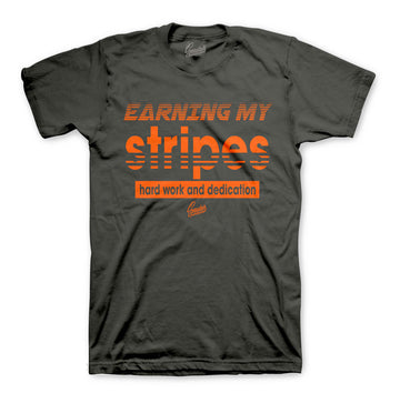 Magnet Shirt - Earning my Stripes - Charcoal