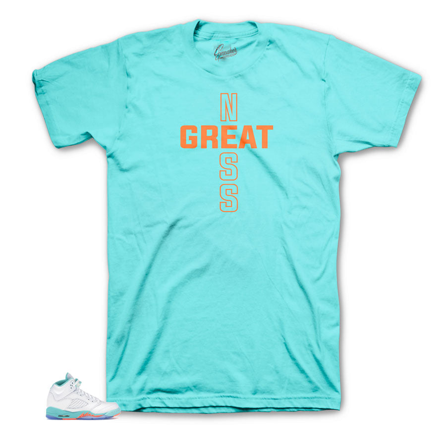 Greatness Light Aqua 5's Shirt